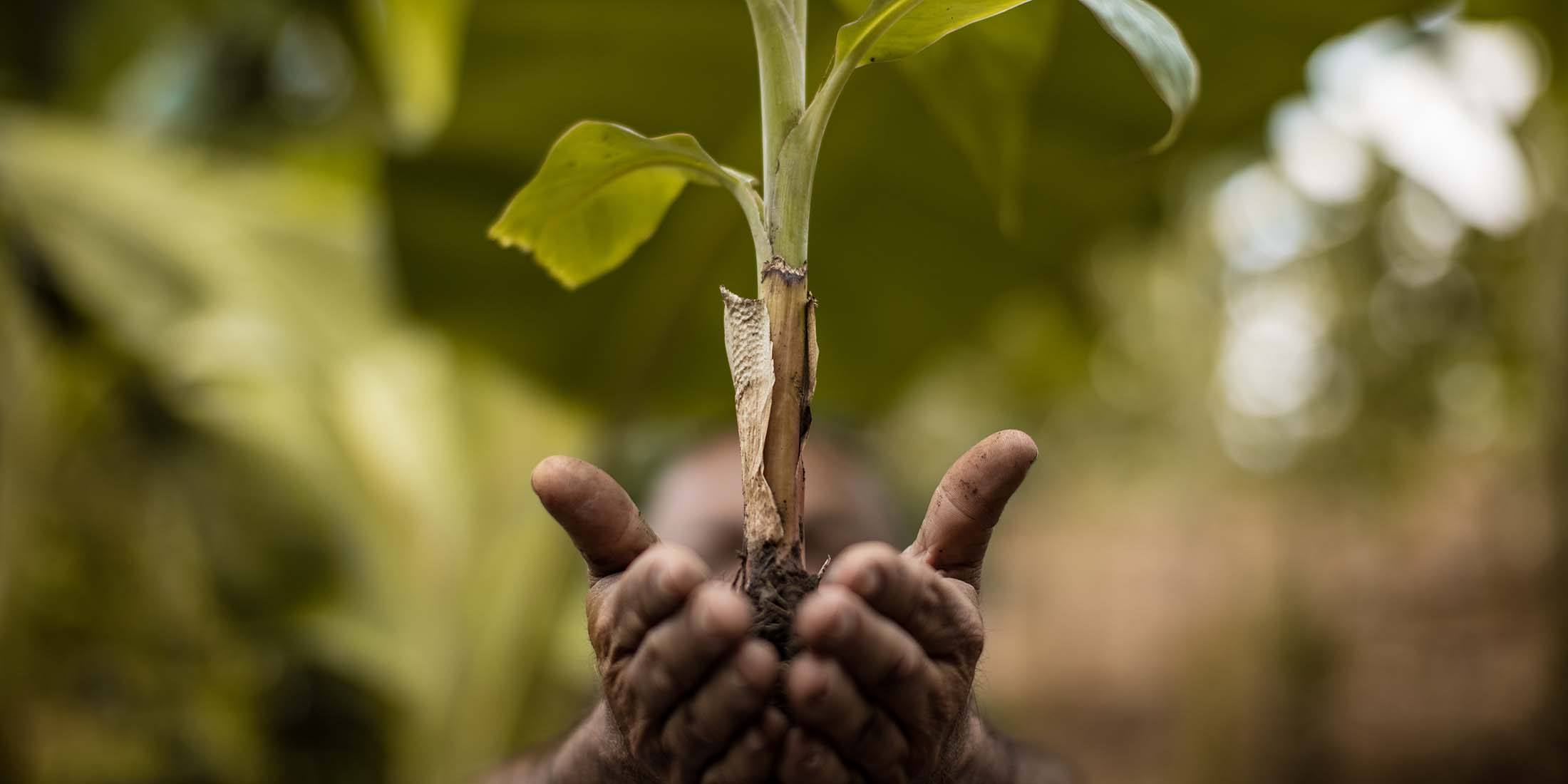 co-mission-vision-hero-SEGURIDAD ALIMENTARIA-AGRO-LAS MANOS DETRAS DE NATUCHIPS-ASPLABEL-2